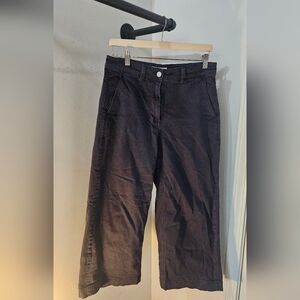 Everlane Wide Leg Crop Blue Pants